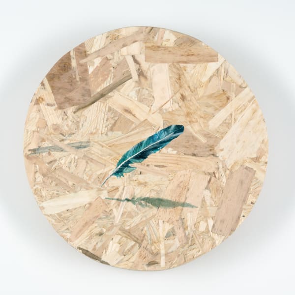 Alastair Gordon, Feather, Levitating , 2019