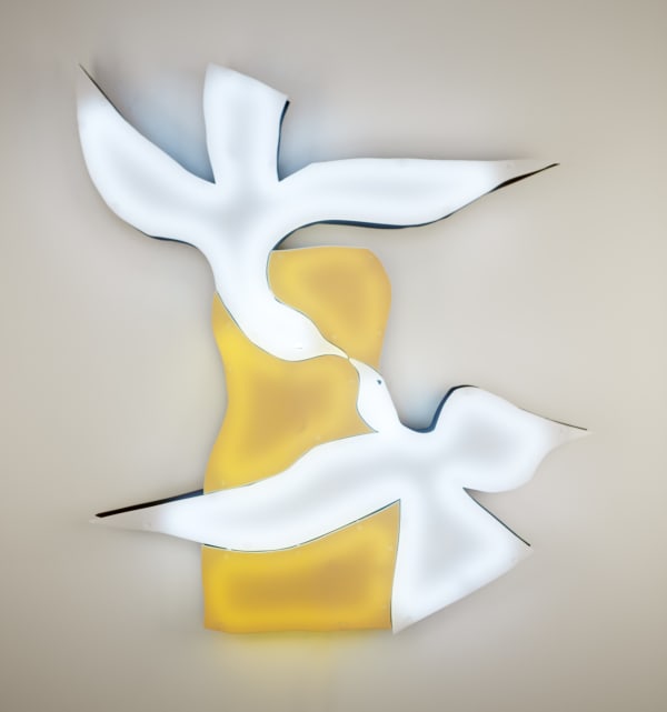 Nicolas Saint Grégoire, Braque Dress 2, 2011