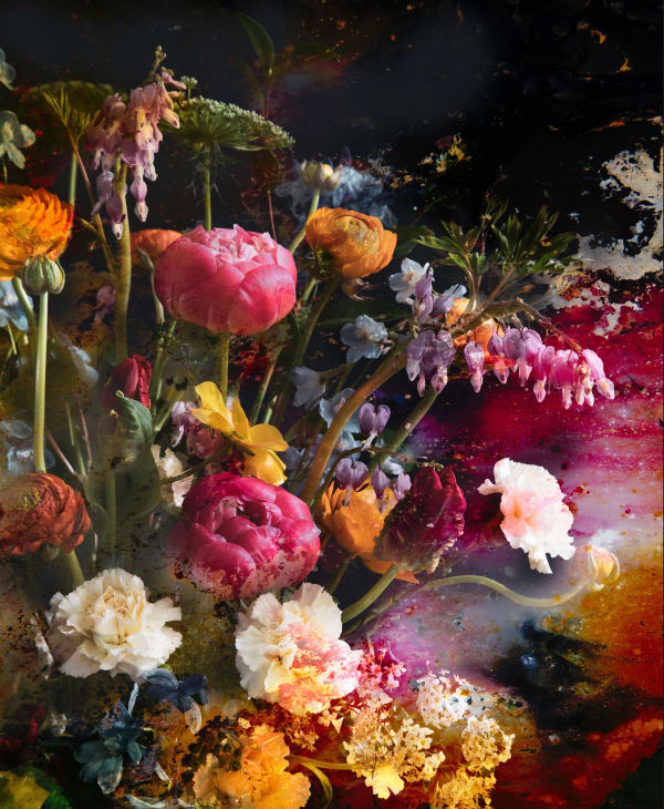 Viet Ha Tran, Baroque Flowers, 2021
