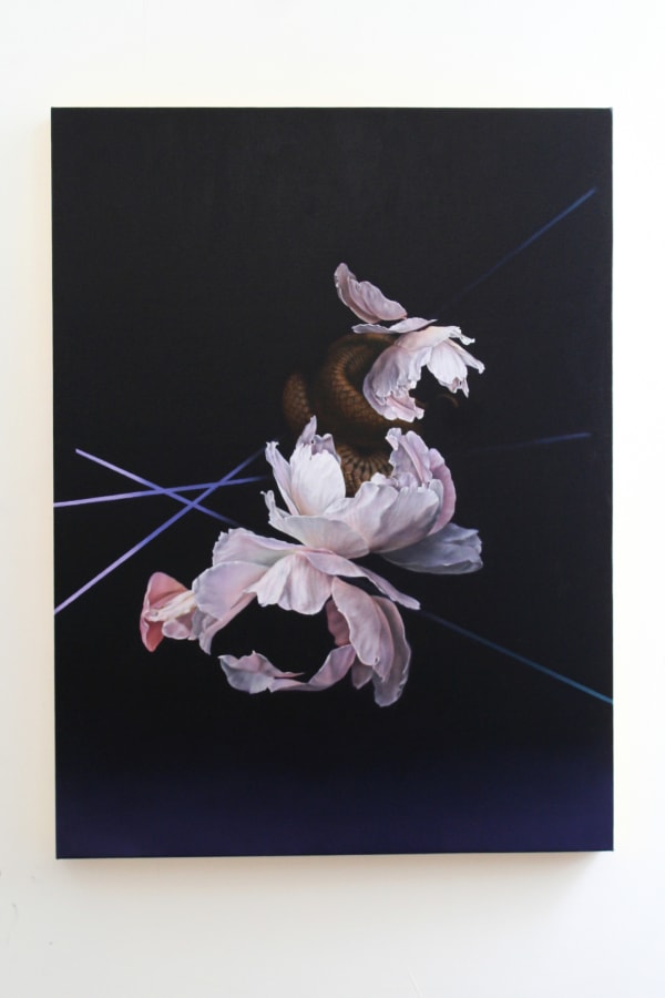 Yuki Aruga, Where we Meet, 2021