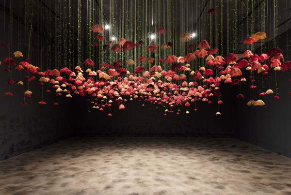 Amanda McCavour, Poppies, 2018 - Ongoing