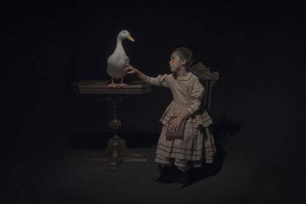 Tami Bahat, The Waterfowl, 2017