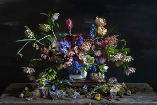 Kristin Sjaarda, Hellebore & Broken Quail Egg, 2021