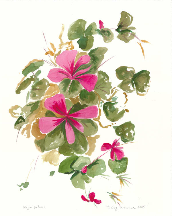 Daisy McMullan, Physic Garden i , 2025