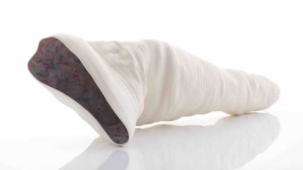 Zoe Weisselberg, Collapse, 2022