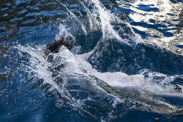 Elisabeth Caren, Ophelia, No. 4, 2013