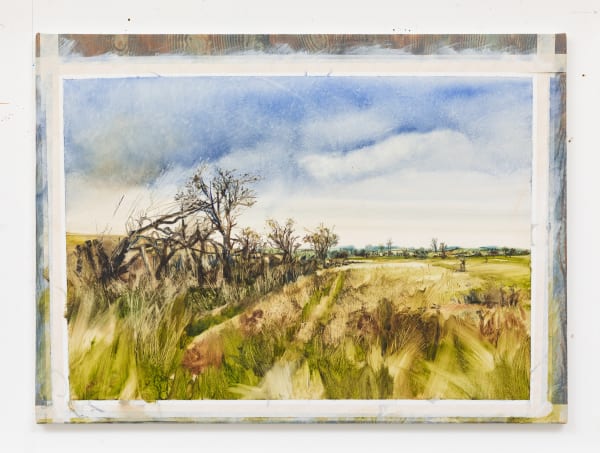 Alastair Gordon, East Lothian Hedgerow, 2024