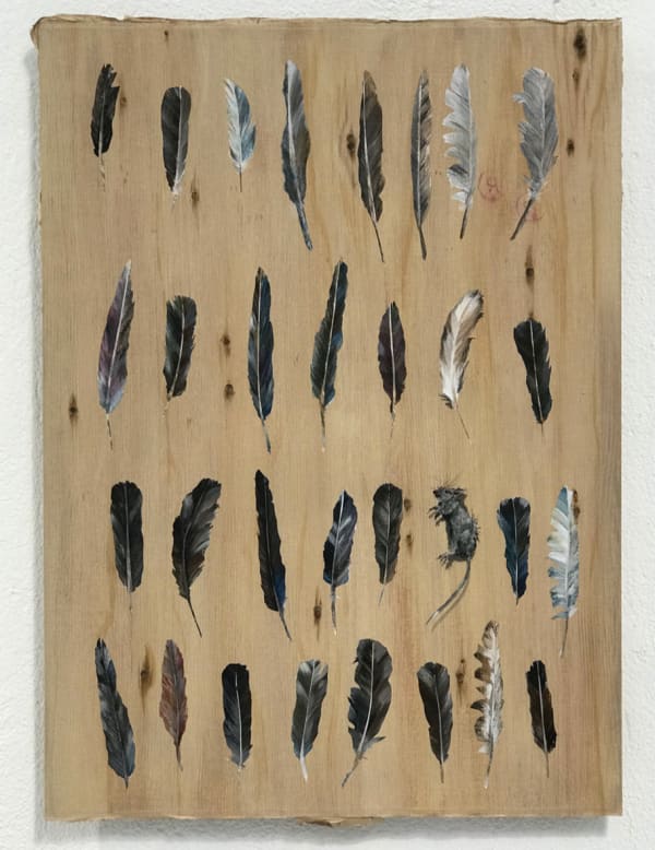 Alastair Gordon, Thirty Feathers and One Mouse, 2019