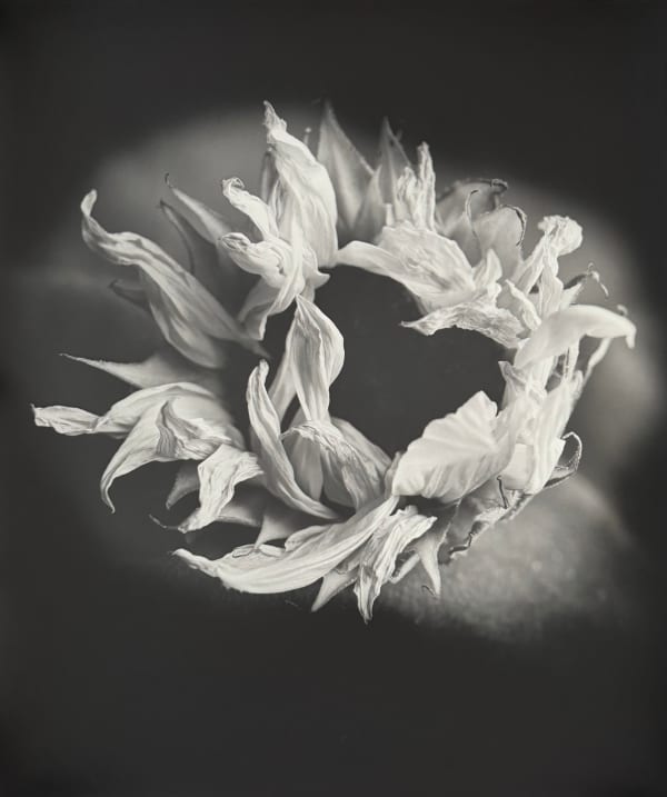 Robert Stivers. Silver gelatin print.