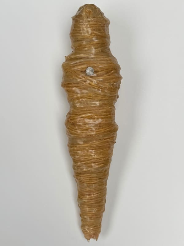 E.V. Day, Mummified Barbie Doll