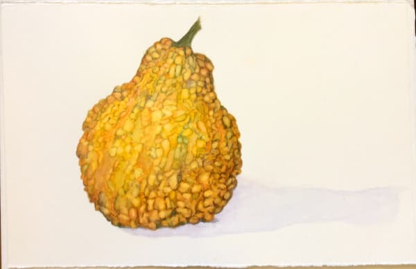Cynthia Drennon, Squash, 2001