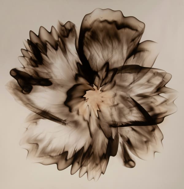 Dennis Lee Mitchell, portugal 1, 2021