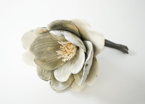 Shingu Sayaka 新宮さやか No.18 Erosion, 2022