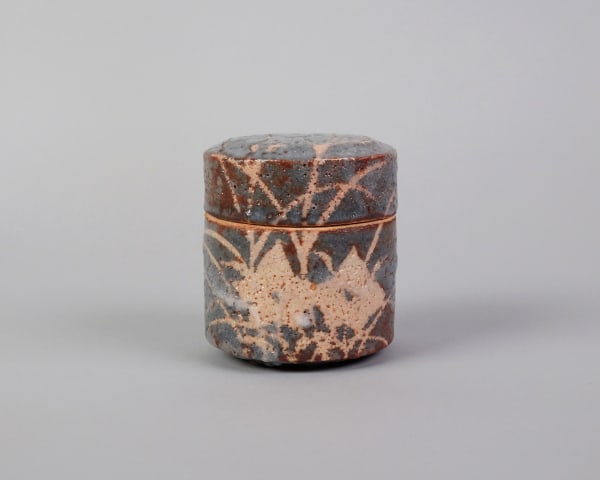 Wakao Toshisada 若尾利貞 Gray Shino Glazed Tea Container 鼠志野棗