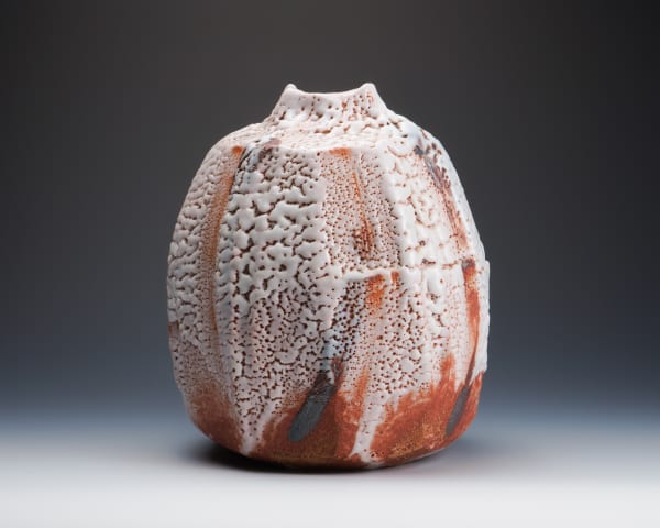 Hayashi Shotaro 林正太郎, Shino jar