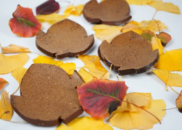 Set of 4 Bizen Plates in the Shape of Autumn Leaves 備前葉皿