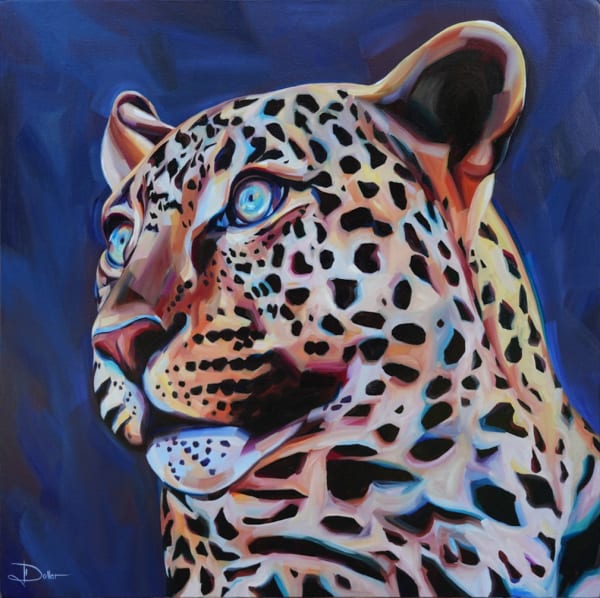 Indian Leopard, 2025