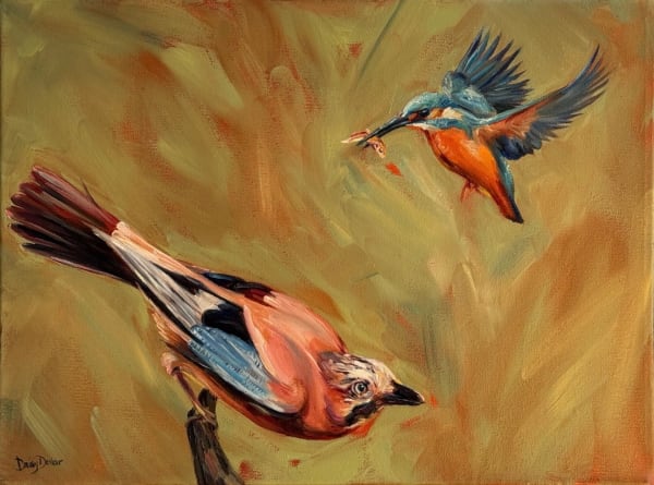 Eurasian Jay & Common Kingfisher, 2025