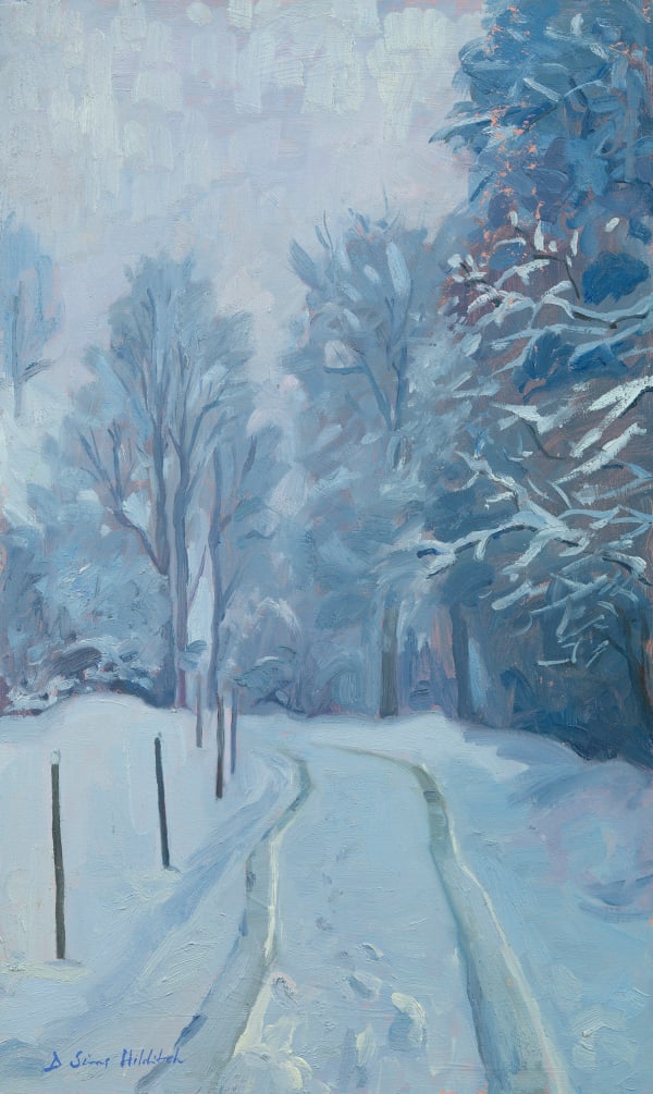 The snowy path, Grindelwald