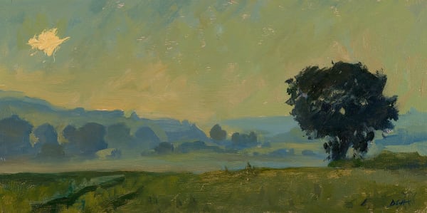 Early Morning Mist, Sunrise