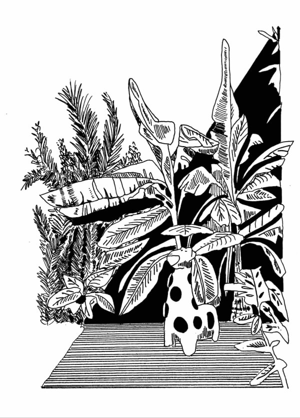 Chourouk Hriech, Animals #1, 2019