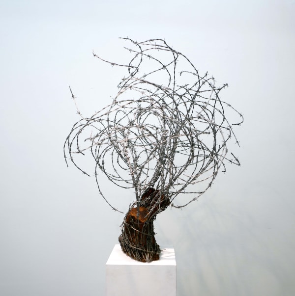 Abdul Rahman Katanani Arbre 4 barbed wire and olive wood 100 x 100 x 90 cm