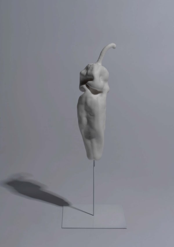 Jeremie Thircuir & Wang Hua Pepper Porcelain variable