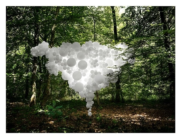 Charles Petillon Mutations 1 (Large), 2014 Photographic pigmentary print mounted on aluminum 111 x 145 cm Edition of 5 plus 2 AP