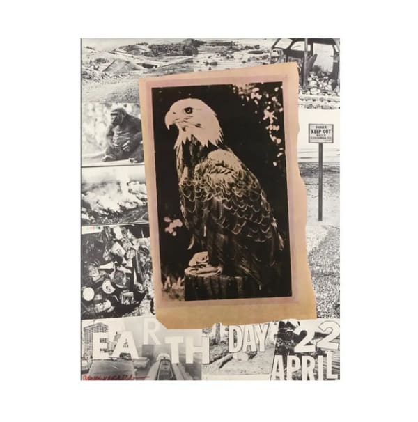 Robert Rauschenberg, Earth Day, 1970