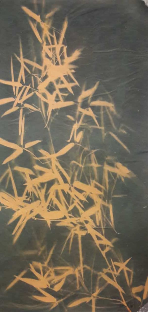 Zhang Dali, Bamboo 7, 2013
