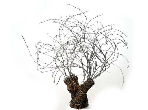 Abdul Rahman Katanani, Arbre 5, 2017