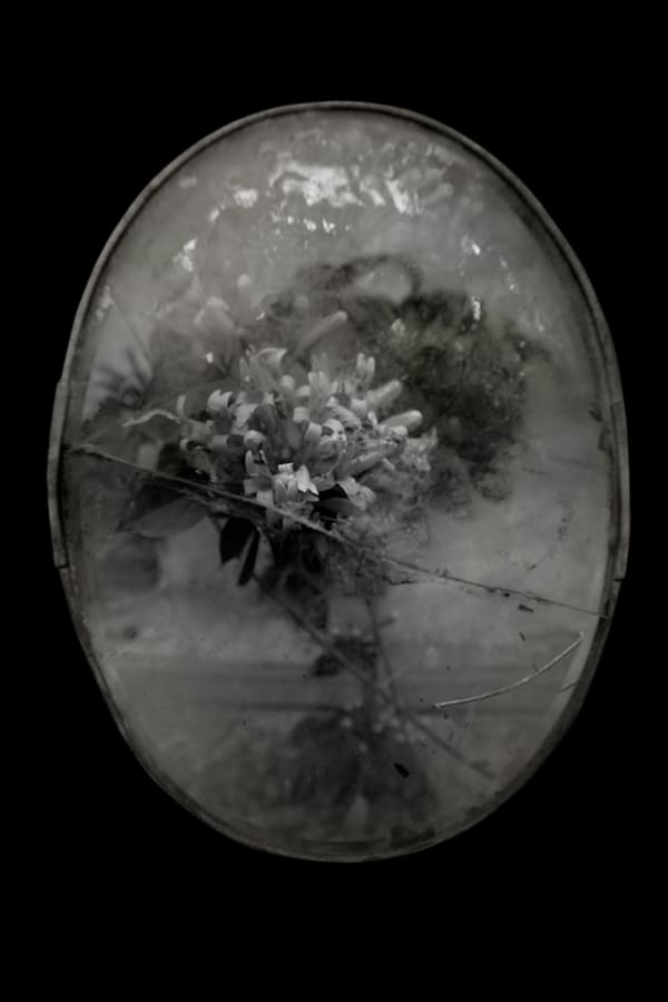 Maleonn Fantasy of Improbable No. 12 Inkjet print on Fine Art paper 40 x 26 cm