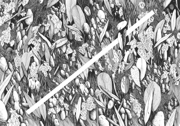 Tellas Intervallo ink on paper 100 x 70 cm