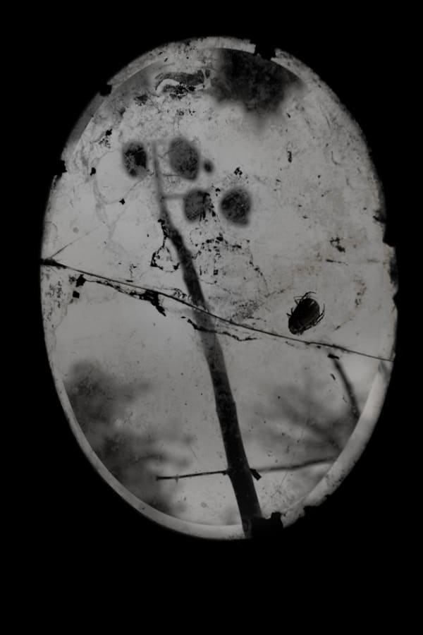 Maleonn Fantasy of Improbable No. 9 Inkjet print on Fine Art paper 40 x 26 cm