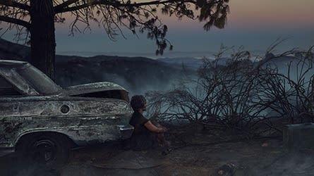 Erwin Olaf, After the Bushfire, 2018