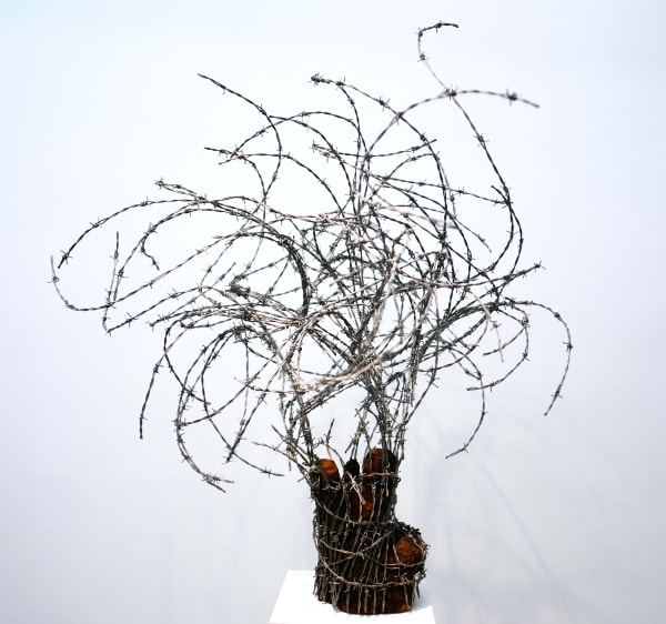 Abdul Rahman Katanani Arbre 3 barbed wire and olive wood 110 x 110 x 110 cm