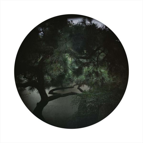 Bai Guanghua Suzhou Liu Garden. 02, 2006 Inkjet print on Fine Art paper 80 x 80 cm Edition of 10