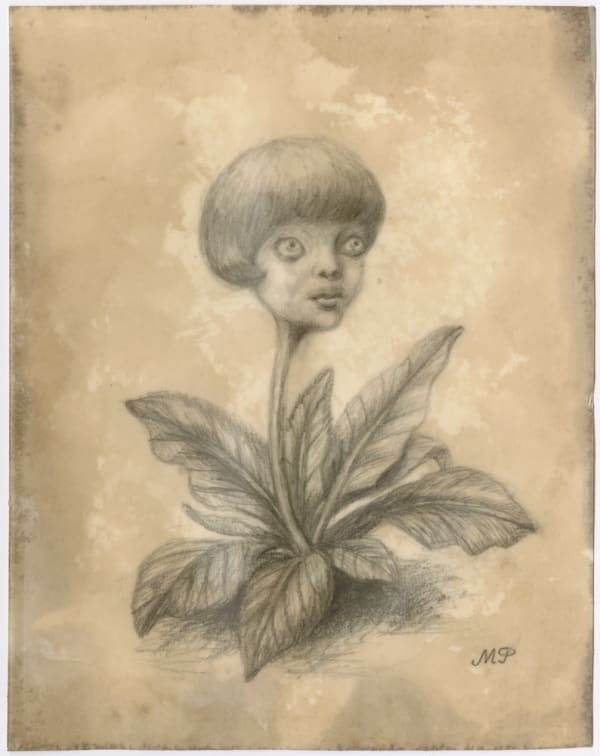 Marion Peck, Young plant, 2020