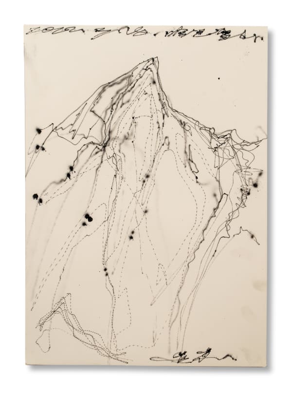 Chen Yingjie Paint from the Nature of Yunnan No.43, 2022 Acrylic on paper 51 x 36 cm 20 1/8 x 14 1/8 in