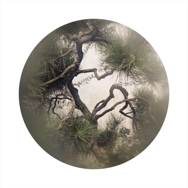 Bai Guanghua Miniature Garden. 04, 2006 Inkjet print on Fine Art paper 80 x 80 cm Edition of 10