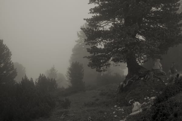 Erwin Olaf, Im Wald Unter dem Baum , 2020