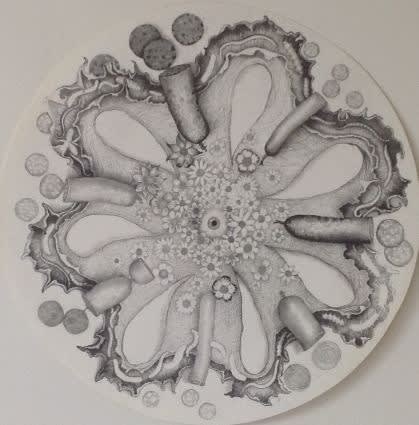 Davor Vrankic Carrousel du bonheur 2 graphite on paper 50 cm diametre diam : 50 cm