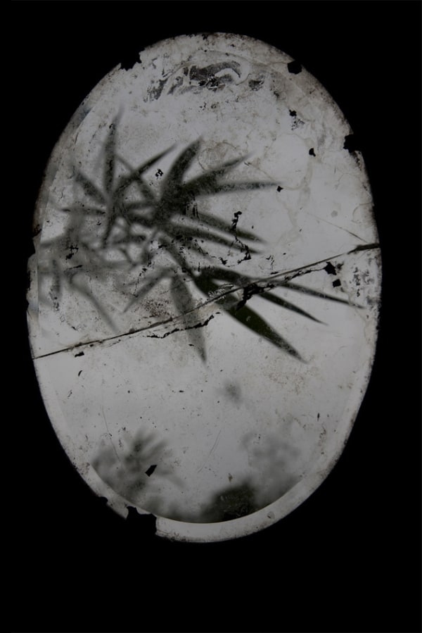 Maleonn, Fantasy of Improbable No. 1, 2011