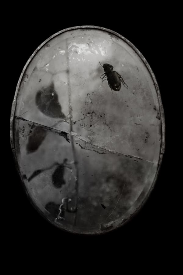 Maleonn Fantasy of Improbable No. 7 Inkjet print on Fine Art paper 40 x 26 cm