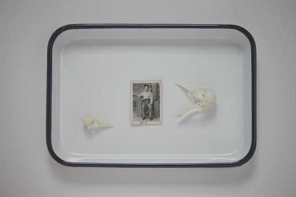 Maleonn, White on White 11