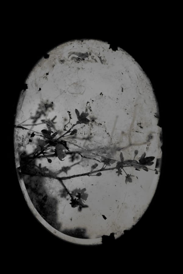 Maleonn Fantasy of Improbable No. 3 Inkjet print on Fine Art paper 40 x 26 cm