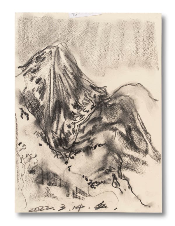 Chen Yingjie Paint from the Nature of Yunnan, No.42, 2022 Charcoal on paper 31 x 23 cm 12 1/4 x 9 1/8 in