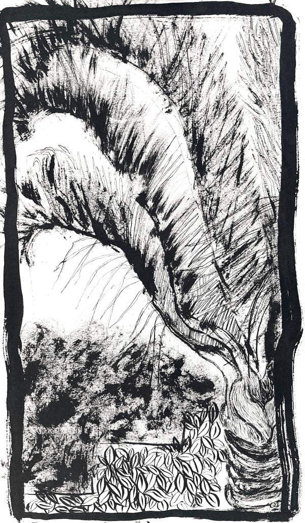 Charlotte Johnston, Fan Study, 2020