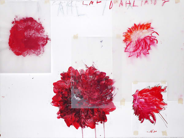 Fereydoun Ave, Dahlia, 2007