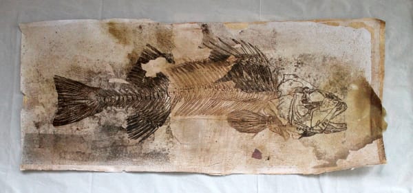 Kolsum Salehi, Untitled, 2015